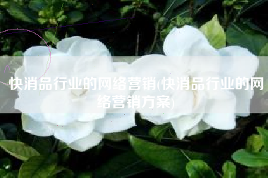 快消品行业的网络营销(快消品行业的网络营销方案)