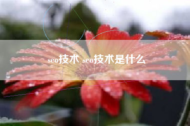 seo技术 seo技术是什么