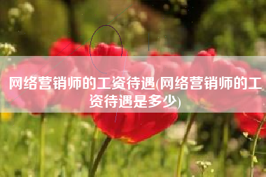 网络营销师的工资待遇(网络营销师的工资待遇是多少)