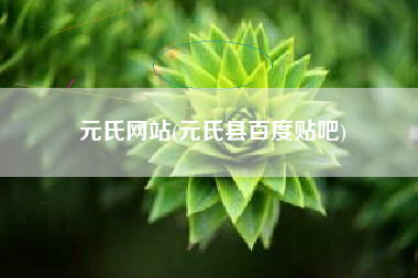 元氏网站(元氏县百度贴吧)