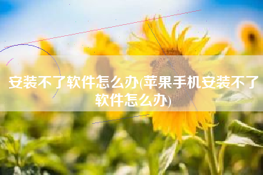 安装不了软件怎么办(苹果手机安装不了软件怎么办)