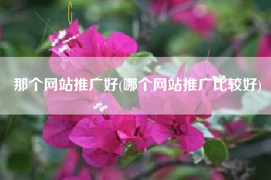 那个网站推广好(哪个网站推广比较好)