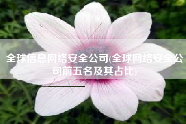 全球信息网络安全公司(全球网络安全公司前五名及其占比)