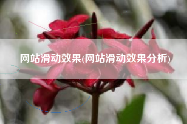 网站滑动效果(网站滑动效果分析)