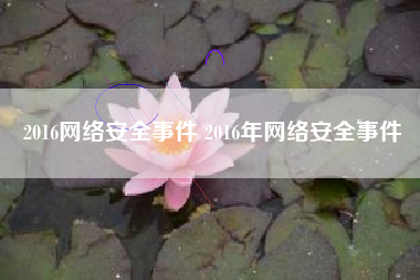 2016网络安全事件 2016年网络安全事件