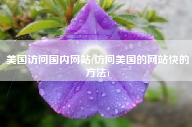 美国访问国内网站(访问美国的网站快的方法)