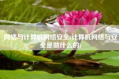 网络与计算机网络安全(计算机网络与安全是做什么的)