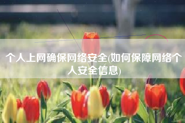 个人上网确保网络安全(如何保障网络个人安全信息)