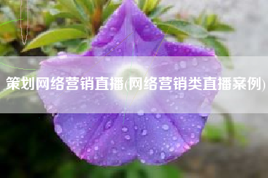 策划网络营销直播(网络营销类直播案例)