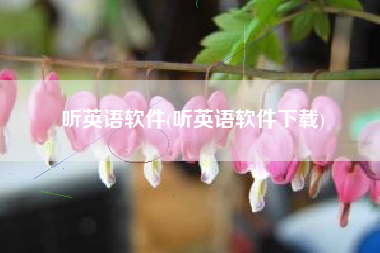 听英语软件(听英语软件下载)