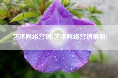 艺术网络营销(艺术网络营销策略)