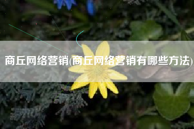 商丘网络营销(商丘网络营销有哪些方法)