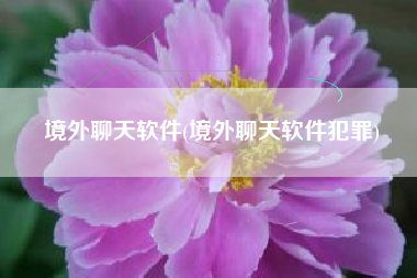 境外聊天软件(境外聊天软件犯罪)