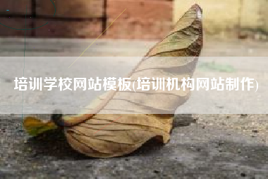 培训学校网站模板(培训机构网站制作)