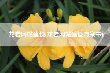 龙岩网站建设(龙岩网站建设方案书)