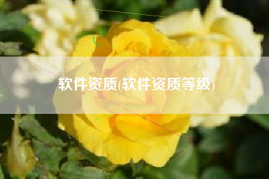软件资质(软件资质等级)