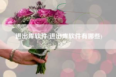 进出库软件(进出库软件有哪些)