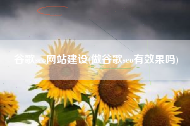 谷歌seo网站建设(做谷歌seo有效果吗)