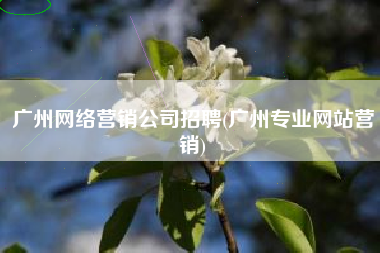 广州网络营销公司招聘(广州专业网站营销)