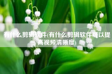 有什么剪辑软件(有什么剪辑软件可以提高视频清晰度)