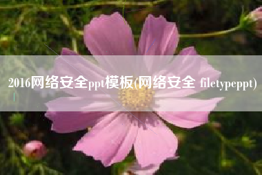 2016网络安全ppt模板(网络安全 filetypeppt)