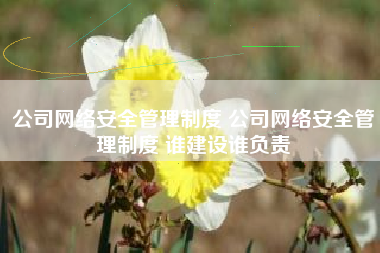 公司网络安全管理制度 公司网络安全管理制度 谁建设谁负责