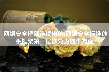 网络安全框架谁提出的(网络安全标准体系框架第一层次分为四个方面)