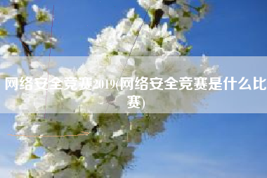 网络安全竞赛2019(网络安全竞赛是什么比赛)