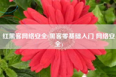 红黑客网络安全(黑客零基础入门 网络安全)