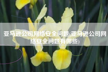 亚马逊公司网络安全问题(亚马逊公司网络安全问题有哪些)