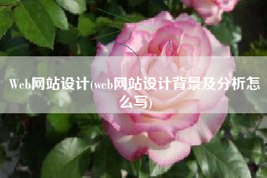 Web网站设计(web网站设计背景及分析怎么写)
