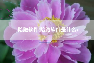 陪跑软件(陪跑软件是什么)