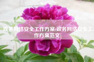 政务网络安全工作方案(政务网络安全工作方案范文)