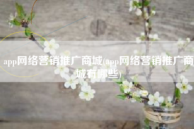 app网络营销推广商城(app网络营销推广商城有哪些)
