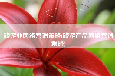 旅游业网络营销策略(旅游产品网络营销策略)