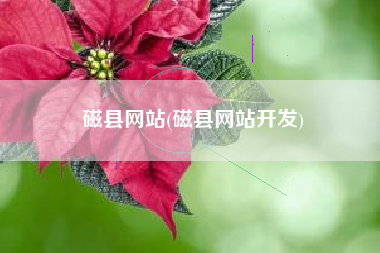磁县网站(磁县网站开发)