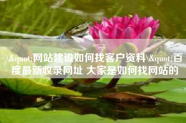\"网站建设如何找客户资料\"百度最新收录网址 大家是如何找网站的