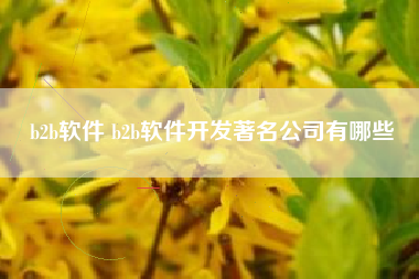 b2b软件 b2b软件开发著名公司有哪些