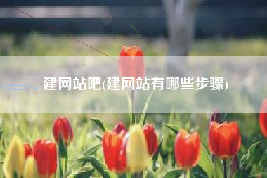 建网站吧(建网站有哪些步骤)