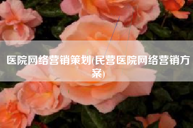医院网络营销策划(民营医院网络营销方案)