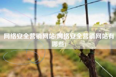 网络安全营销网站(网络安全营销网站有哪些)
