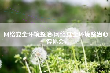 网络安全环境整治(网络安全环境整治心得体会)