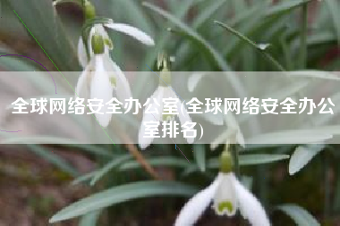 全球网络安全办公室(全球网络安全办公室排名)