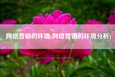 网络营销的环境(网络营销的环境分析)