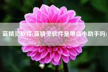 蓝精灵软件(蓝精灵软件是带货小助手吗)