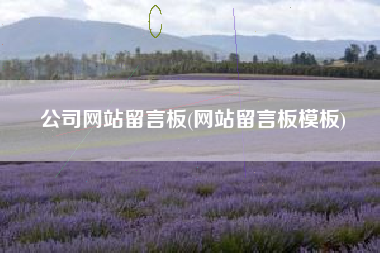 公司网站留言板(网站留言板模板)