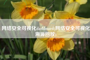 网络安全可视化dashboard(网络安全可视化溯源回放)