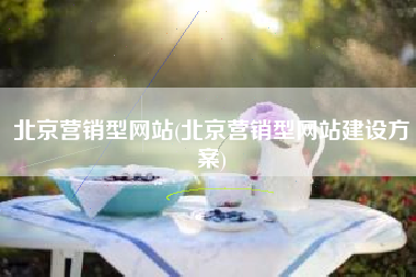 北京营销型网站(北京营销型网站建设方案)