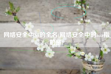 网络安全中SA的全名(网络安全中的aaa指的是)
