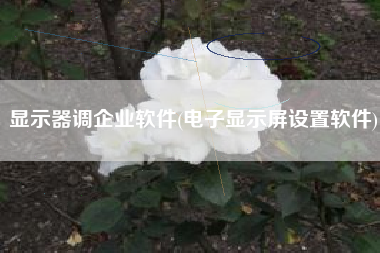 显示器调企业软件(电子显示屏设置软件)